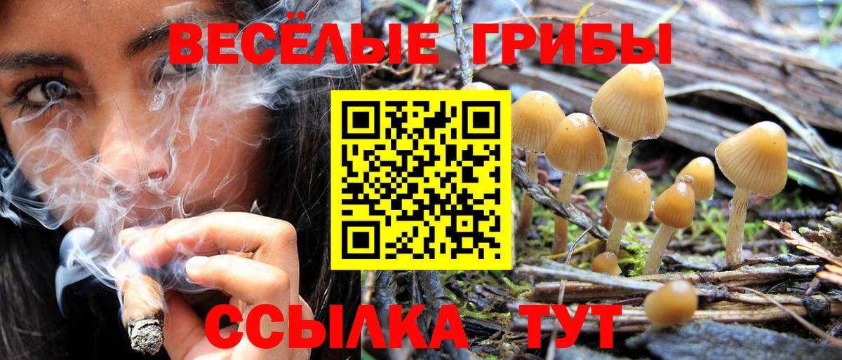 Псилоцибиновые грибы GOLDEN TEACHER  Вход с VPN  Ессентуки 