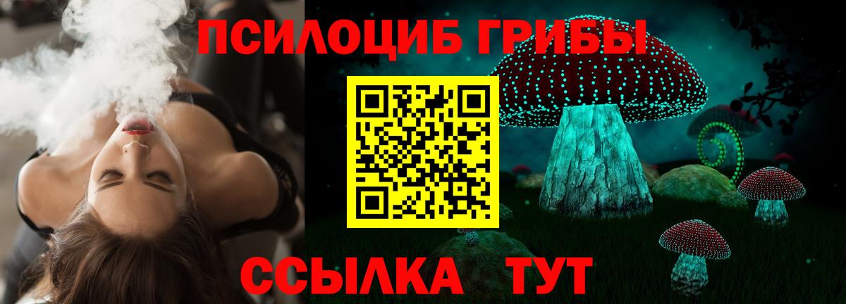 Галлюциногенные грибы мицелий Ессентуки